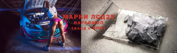 ПСИЛОЦИБИНОВЫЕ ГРИБЫ Баксан